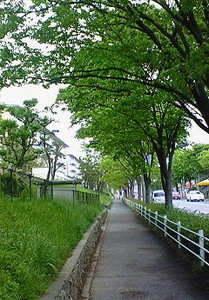 f:id:firesign0916:20070510234723j:image f:id:firesign0916:20070510234723j:image