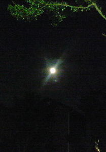 f:id:firesign0916:20070827231257j:image
