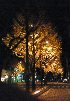f:id:firesign0916:20071206103739j:image