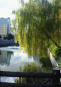 f:id:firesign0916:20071206225632j:image f:id:firesign0916:20071206225632j:image