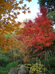 f:id:firesign0916:20071206233206j:image f:id:firesign0916:20071206233206j:image