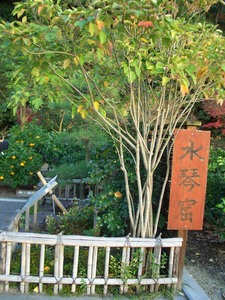 f:id:firesign0916:20071206233847j:image f:id:firesign0916:20071206233847j:image