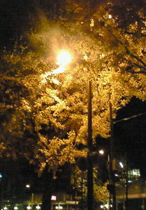 f:id:firesign0916:20071206234722j:image f:id:firesign0916:20071206234722j:image