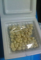 f:id:firesign0916:20080213224125j:image