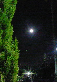 f:id:firesign0916:20080323000018j:image