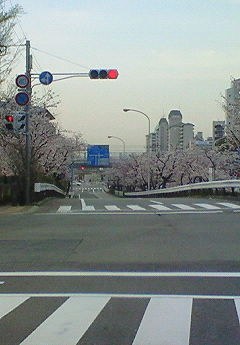 f:id:firesign0916:20080405011236j:image