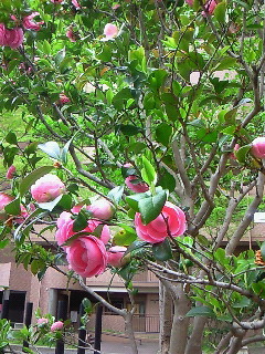 f:id:firesign0916:20080426162524j:image