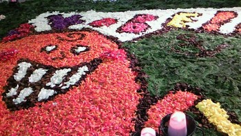 f:id:firesign0916:20080427233742j:image f:id:firesign0916:20080427233742j:image