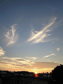 f:id:firesign0916:20080812020316j:image