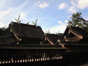 f:id:firesign0916:20081128005529j:image