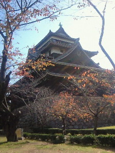 f:id:firesign0916:20081128011051j:image