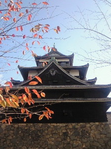 f:id:firesign0916:20081128011053j:image