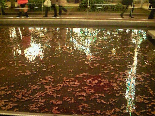 f:id:firesign0916:20081214225804j:image f:id:firesign0916:20081214225804j:image