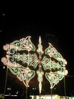 f:id:firesign0916:20081214225952j:image f:id:firesign0916:20081214225952j:image
