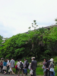 f:id:firesign0916:20090505003133j:image