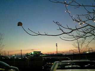 f:id:firesign0916:20100214015053j:image f:id:firesign0916:20100214015053j:image