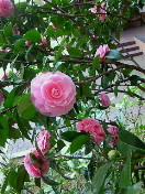 f:id:firesign0916:20100322152623j:image