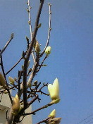 f:id:firesign0916:20100322152627j:image