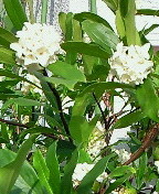 f:id:firesign0916:20100322152628j:image