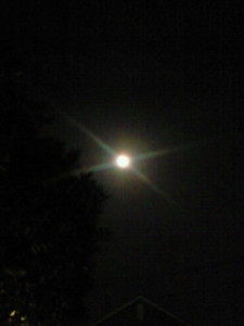 f:id:firesign0916:20110320000218j:image