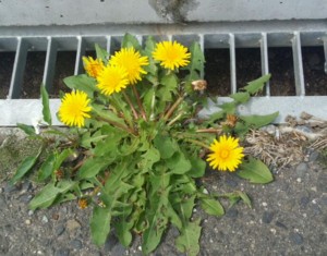 f:id:firesign0916:20120429100035j:image f:id:firesign0916:20120429100035j:image