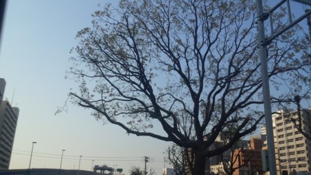 f:id:firesign0916:20120429100654j:image f:id:firesign0916:20120429100654j:image