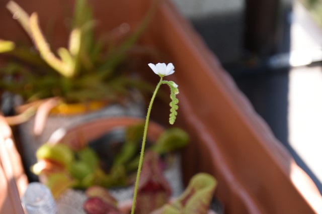 f:id:firetan:20210919225514j:image f:id:firetan:20210919225514j:image