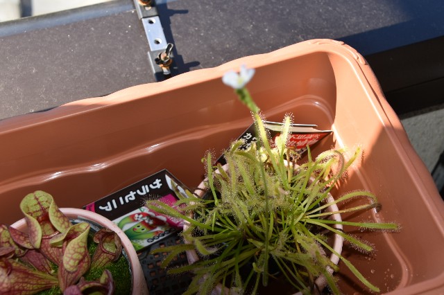 f:id:firetan:20210919225540j:image f:id:firetan:20210919225540j:image