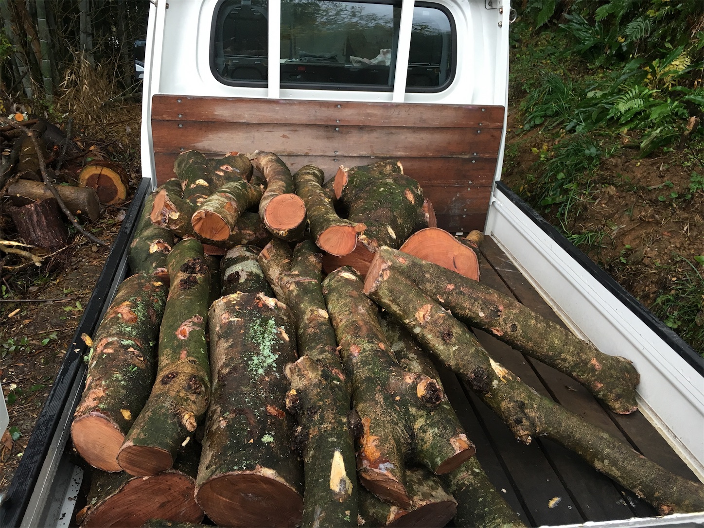 薪 ヤチダモ 1㎥