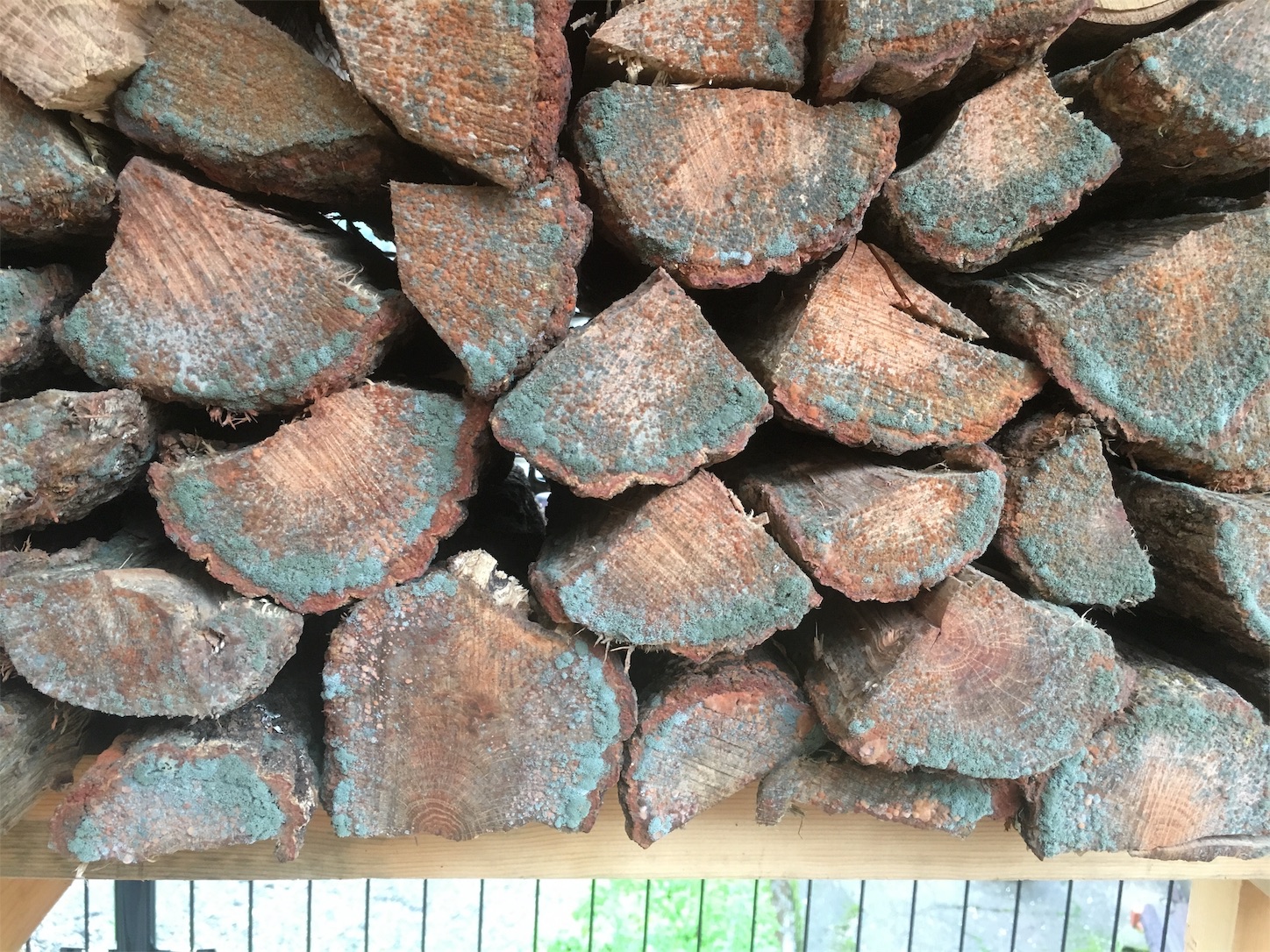 f:id:firewoodblog:20190718222702j:image f:id:firewoodblog:20190718222702j:image