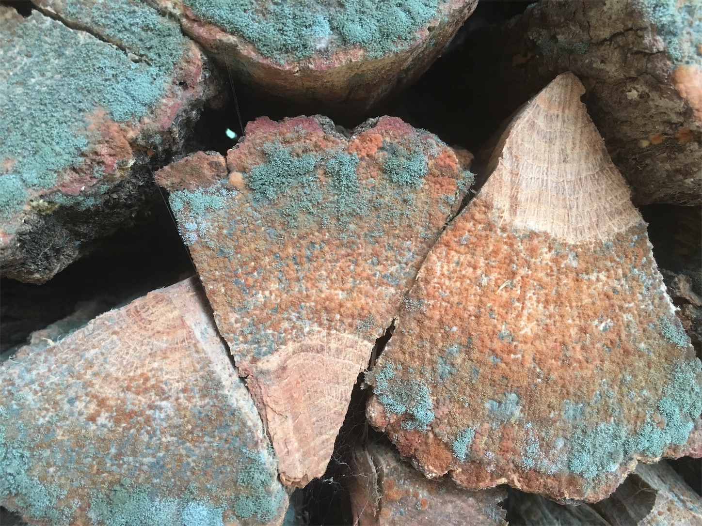 f:id:firewoodblog:20190718222828j:image f:id:firewoodblog:20190718222828j:image