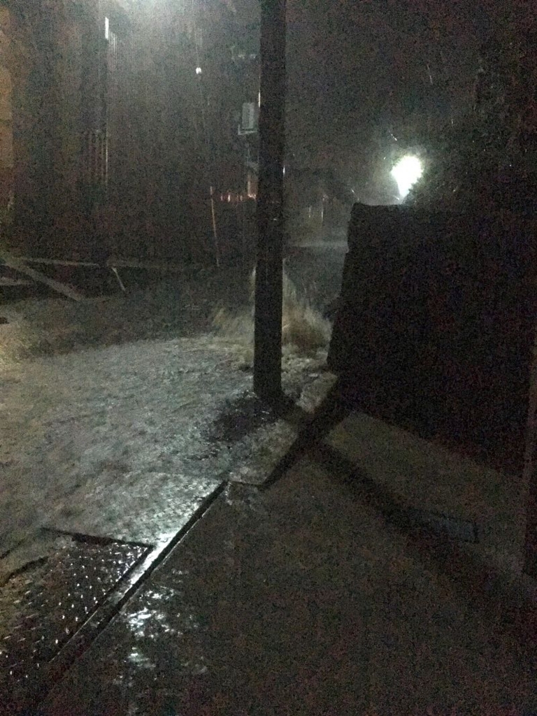 f:id:firewoodyamazaki:20170918105151j:plain f:id:firewoodyamazaki:20170918105151j:plain