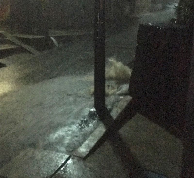 f:id:firewoodyamazaki:20170918105209j:plain f:id:firewoodyamazaki:20170918105209j:plain