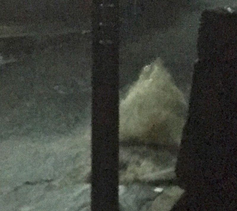 f:id:firewoodyamazaki:20170918105226j:plain f:id:firewoodyamazaki:20170918105226j:plain