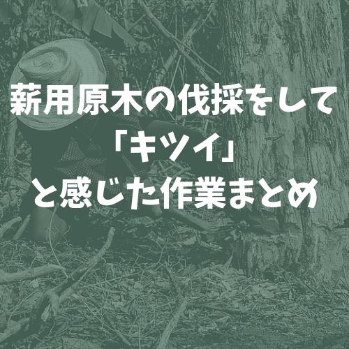 薪用原木の伐採をして「キツイ」と感じた作業まとめ