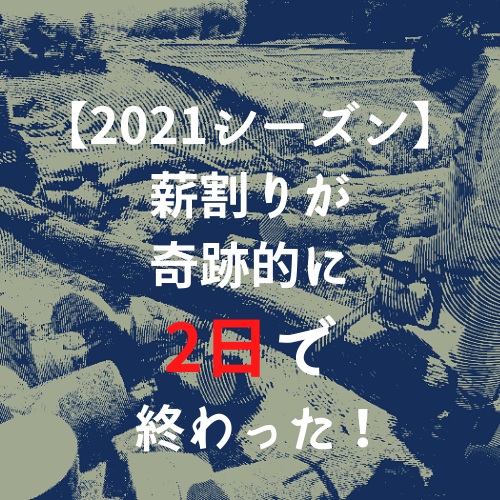 【2021シーズン】薪割りが奇跡的に2日で終わった！