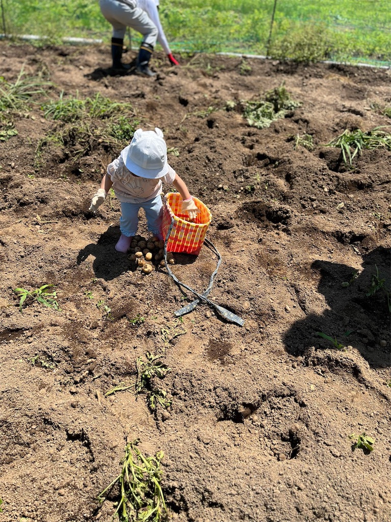 f:id:firm-touko:20250604111452j:image