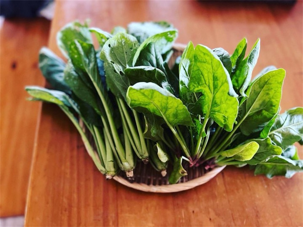 f:id:firm-touko:20250604111657j:image