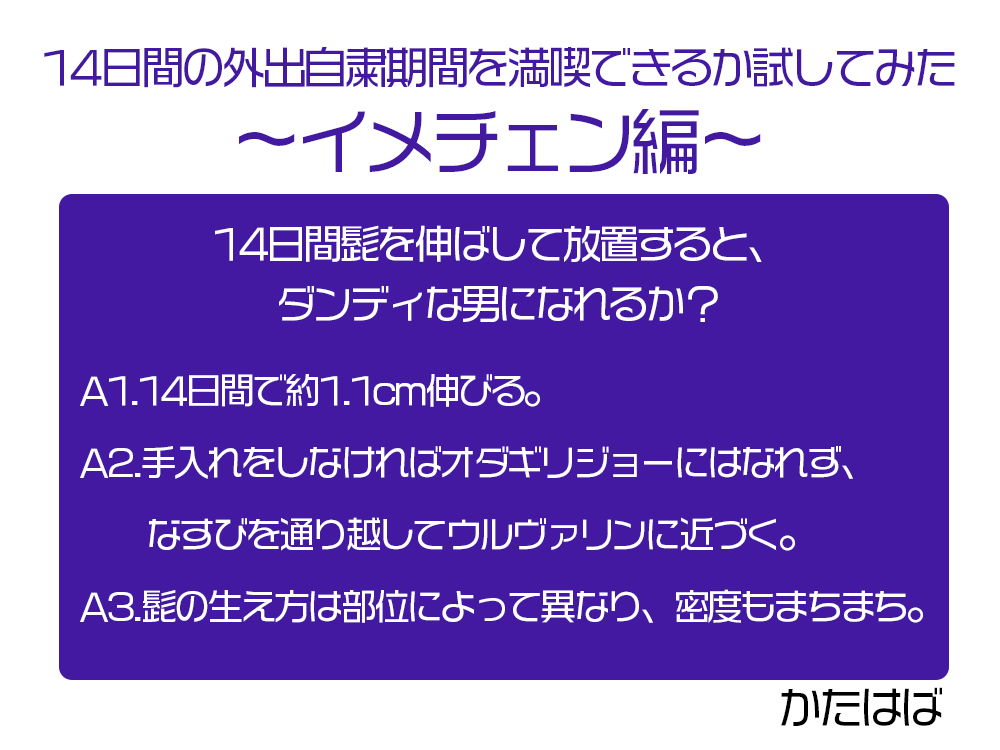 f:id:firon_52:20210103144236j:plain