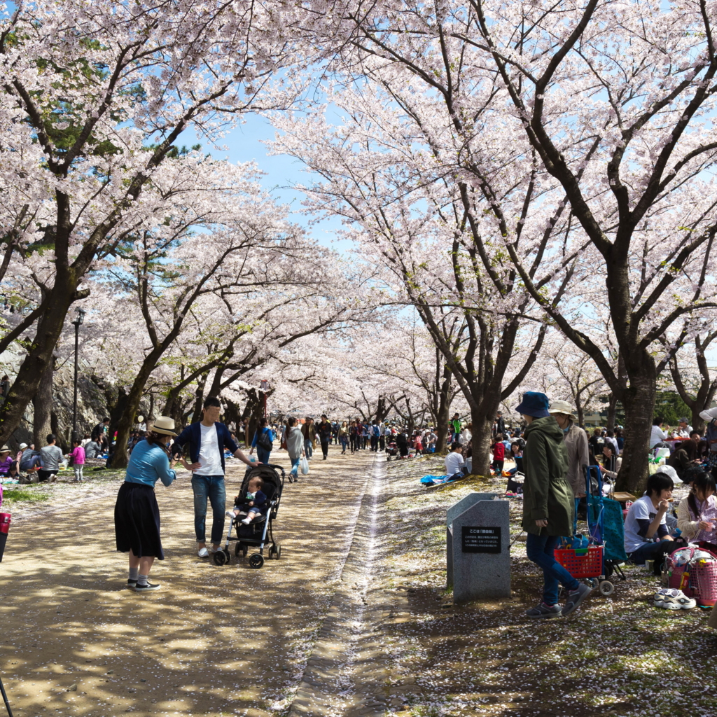 f:id:first_dragon:20160429092759j:plain