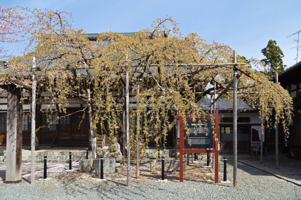 f:id:first_dragon:20160430074850j:plain