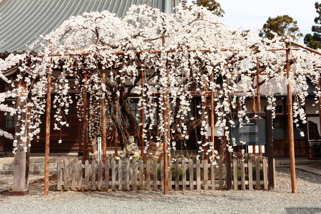 f:id:first_dragon:20160430075127j:plain