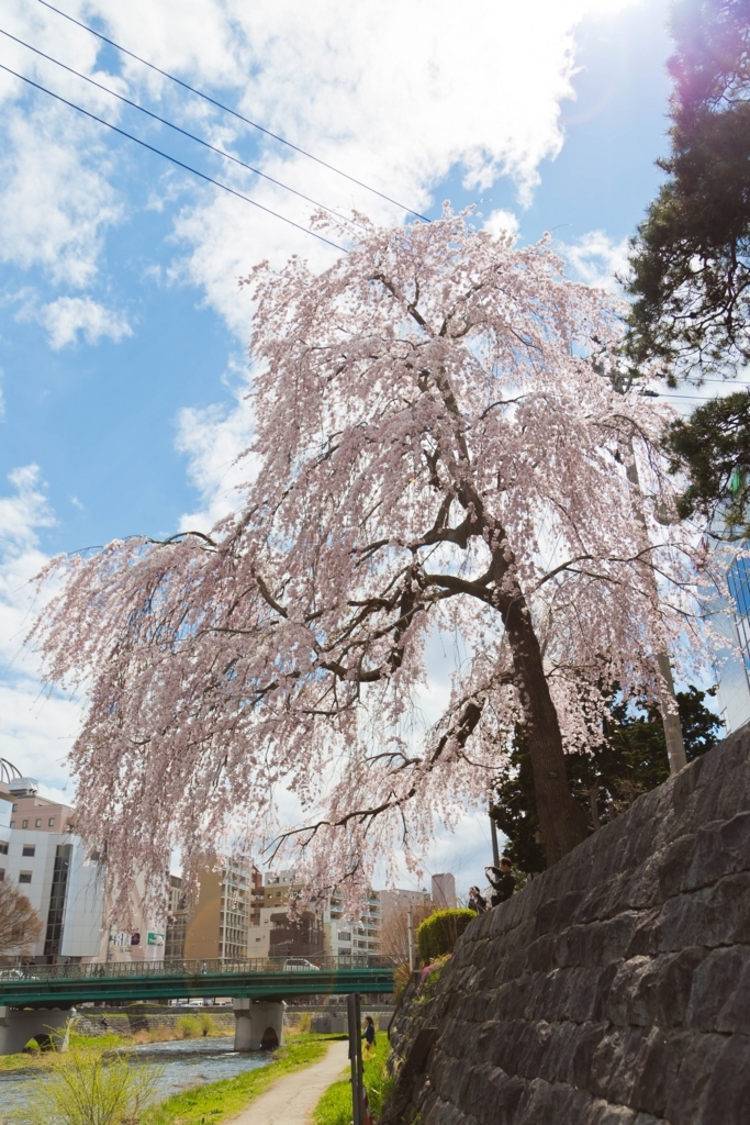 f:id:first_dragon:20170530092759j:plain