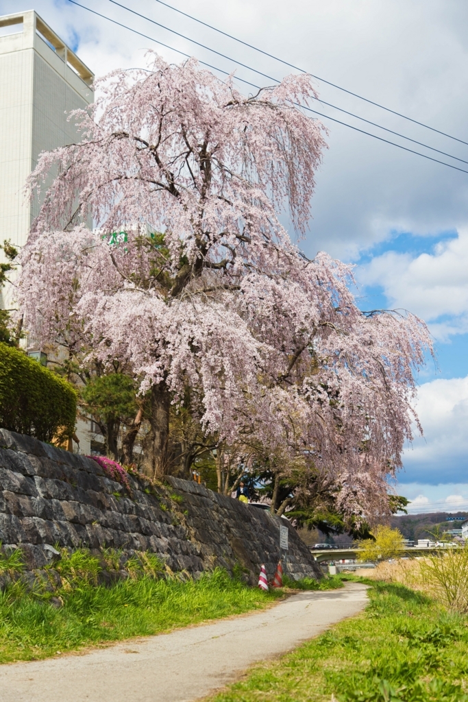 f:id:first_dragon:20170530093403j:plain