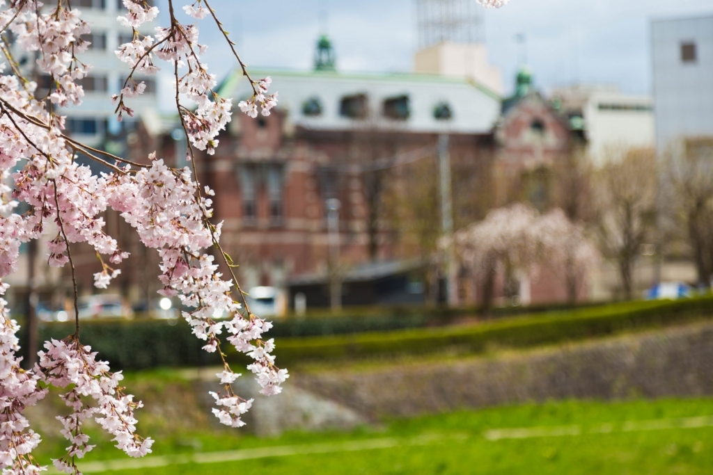 f:id:first_dragon:20170530093429j:plain