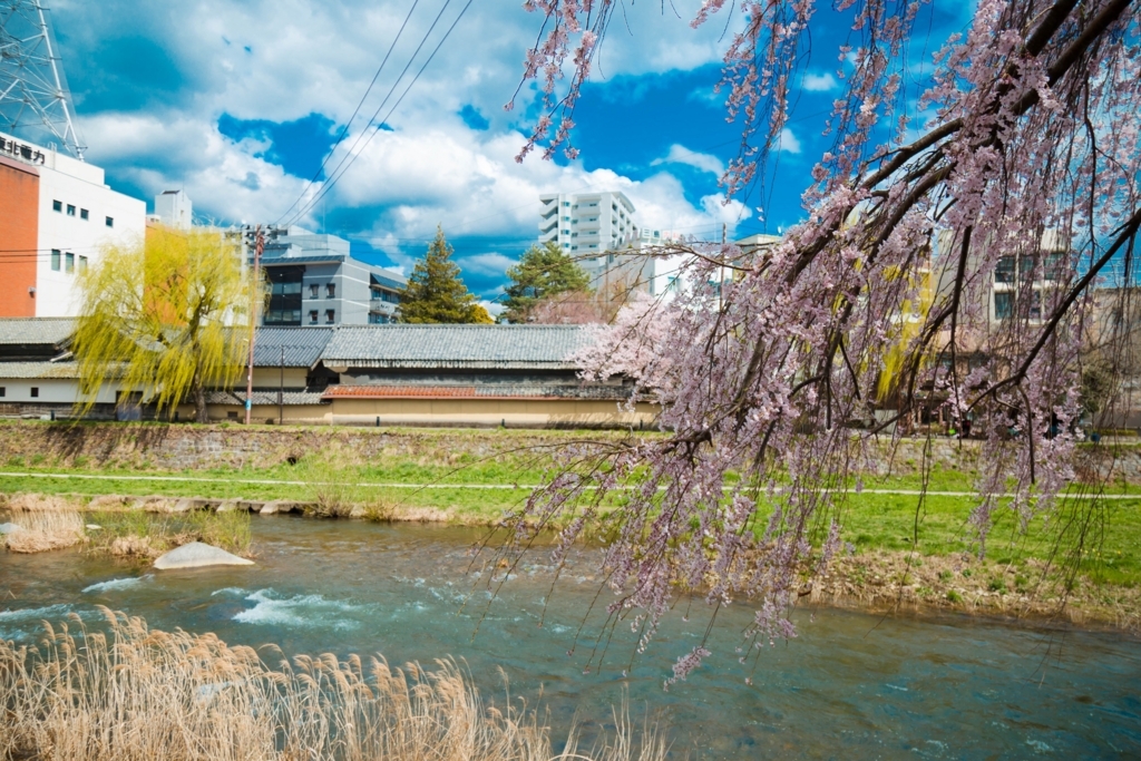 f:id:first_dragon:20170530093448j:plain