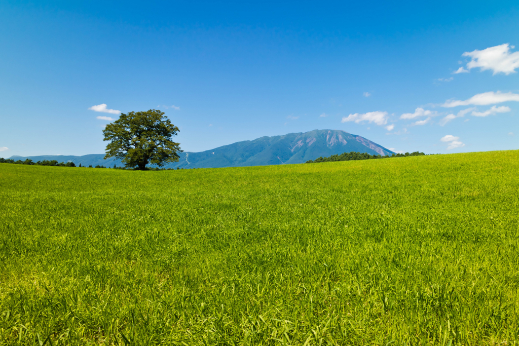 f:id:first_dragon:20170827164637j:plain