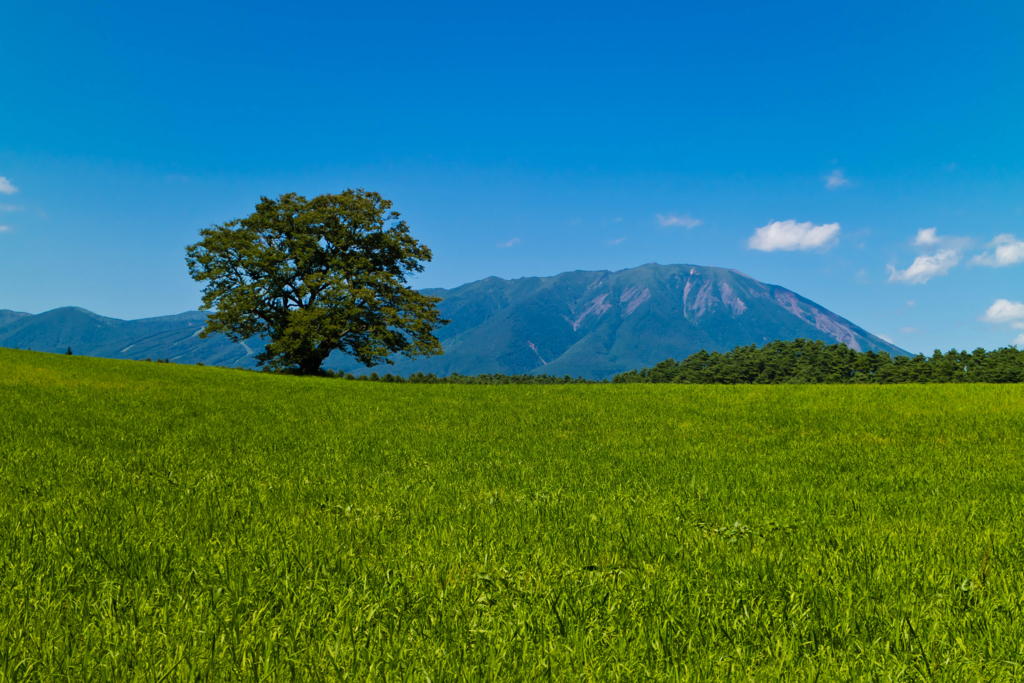 f:id:first_dragon:20170827164709j:plain