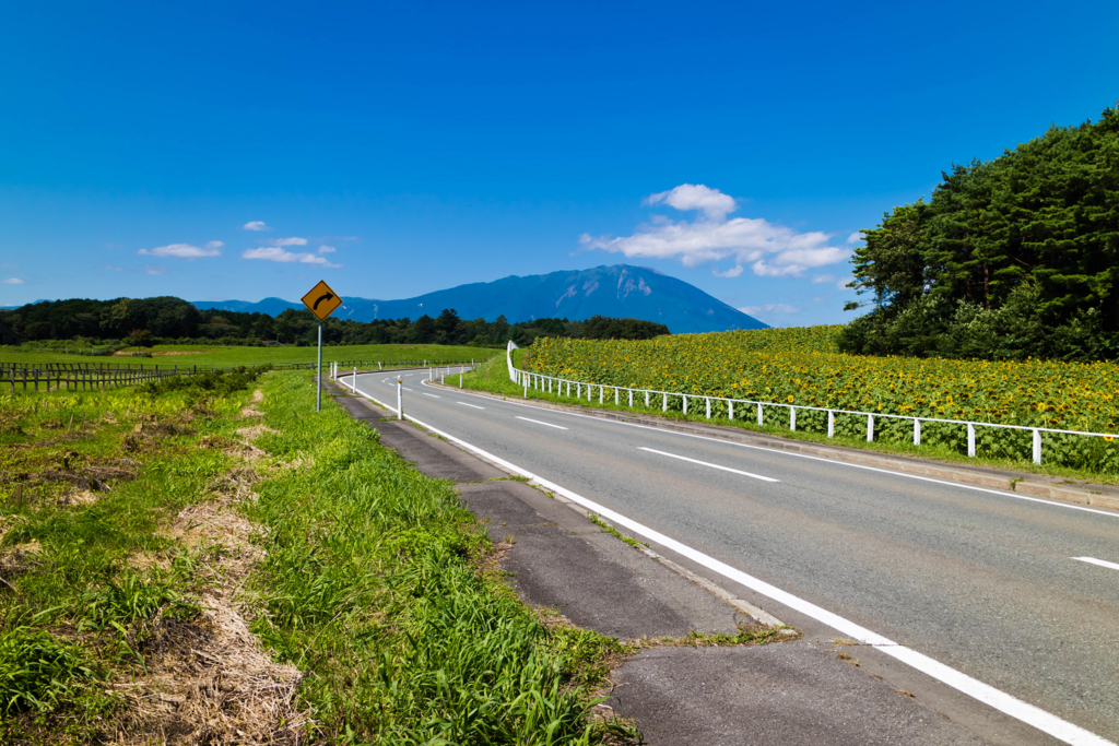 f:id:first_dragon:20170827164741j:plain