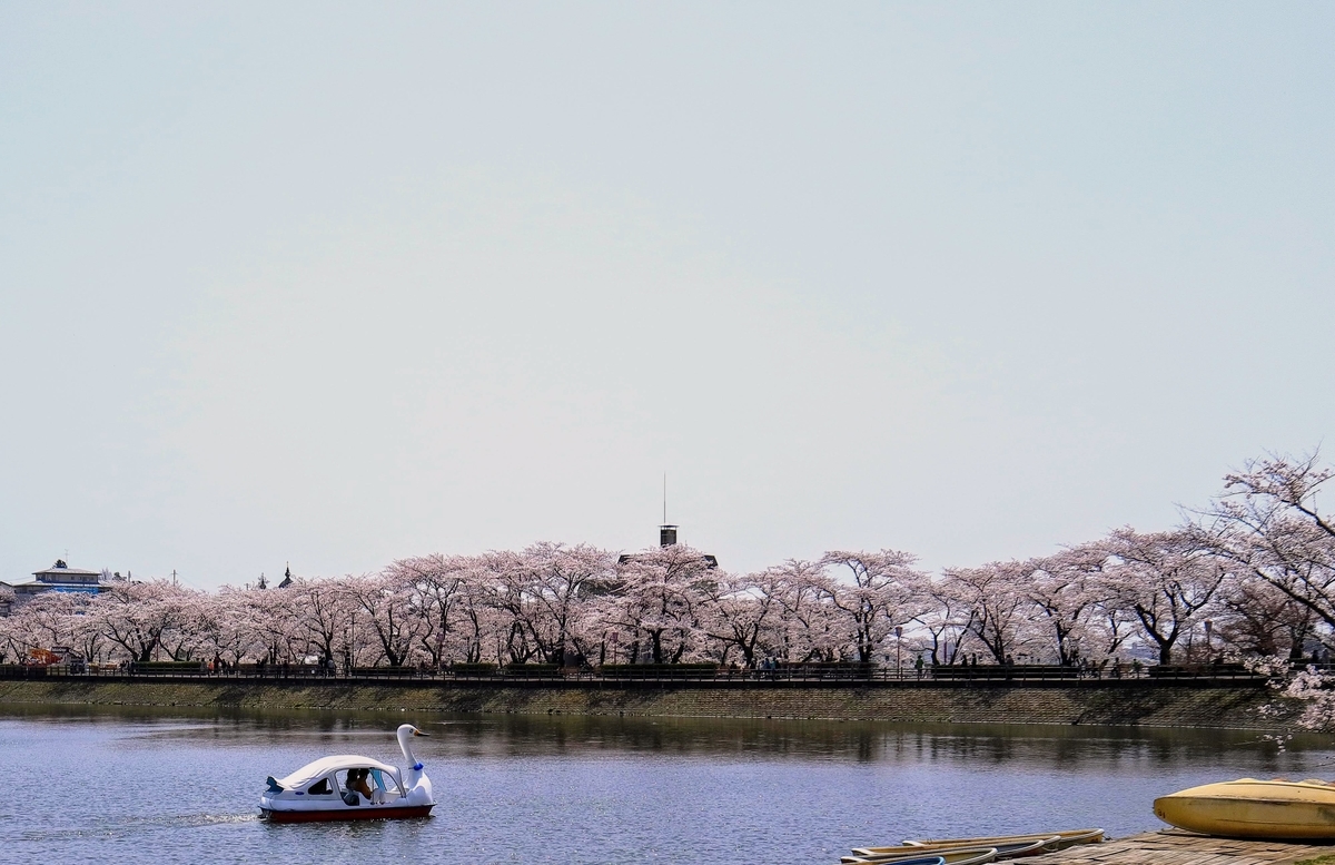 f:id:first_dragon:20190425133253j:plain